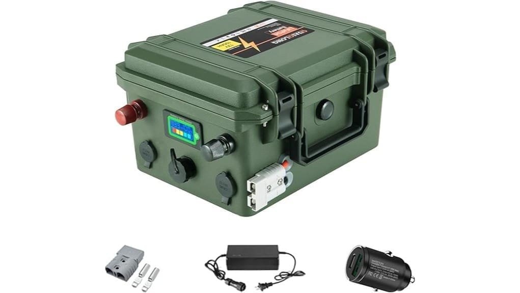 12v 100ah lifepo4 battery