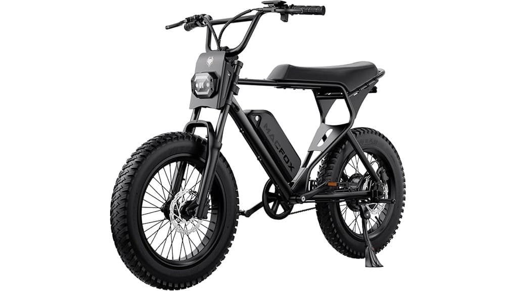 750w fat tire e bike