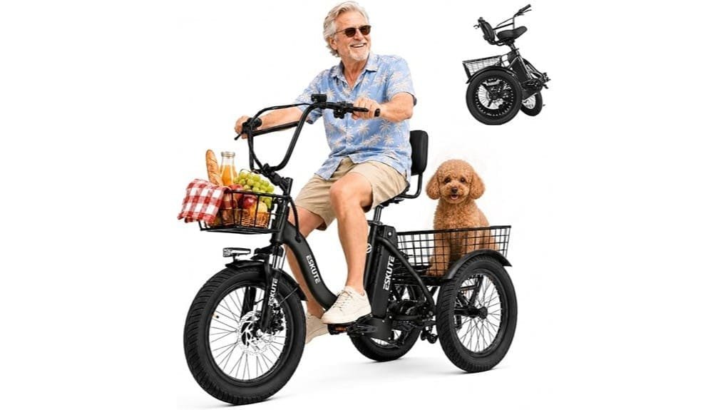 electric three wheel commuter trike