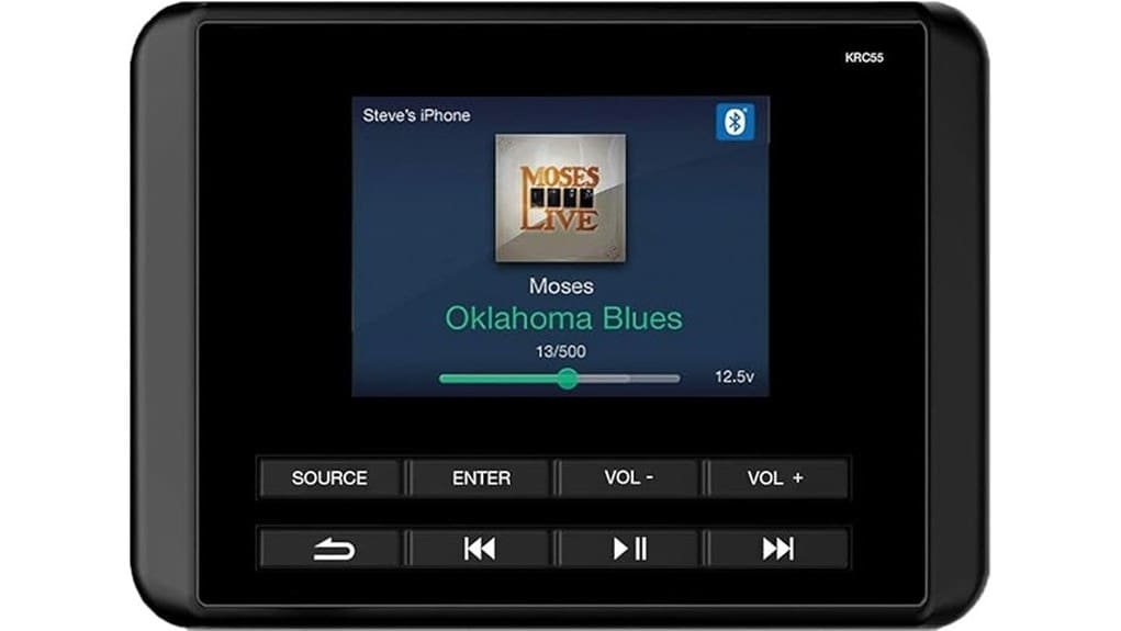 compact powerful car amplifier review
