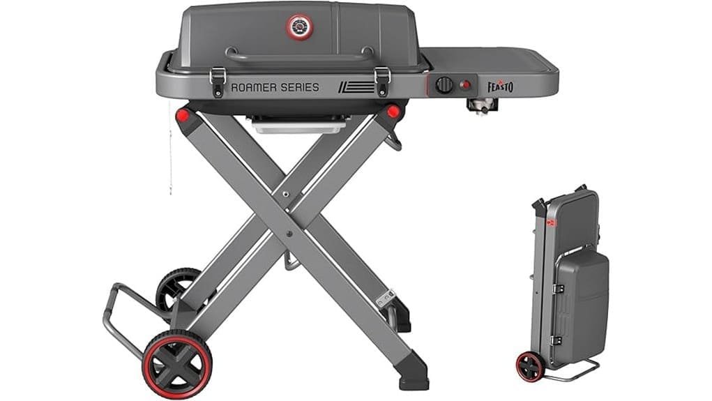 portable propane grill review