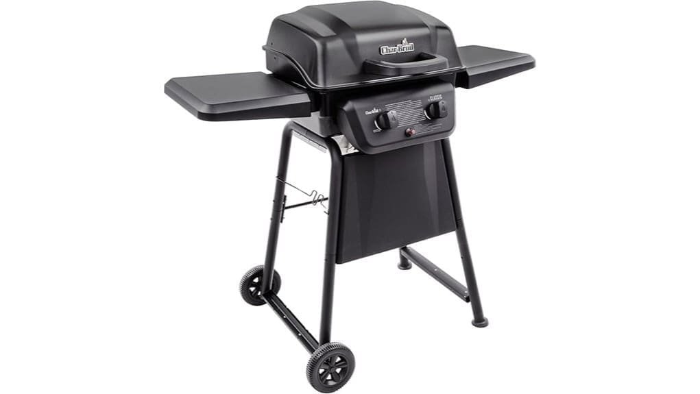 two burner stainless steel propane